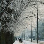 pexels-anita-paucha-260504136-35771844