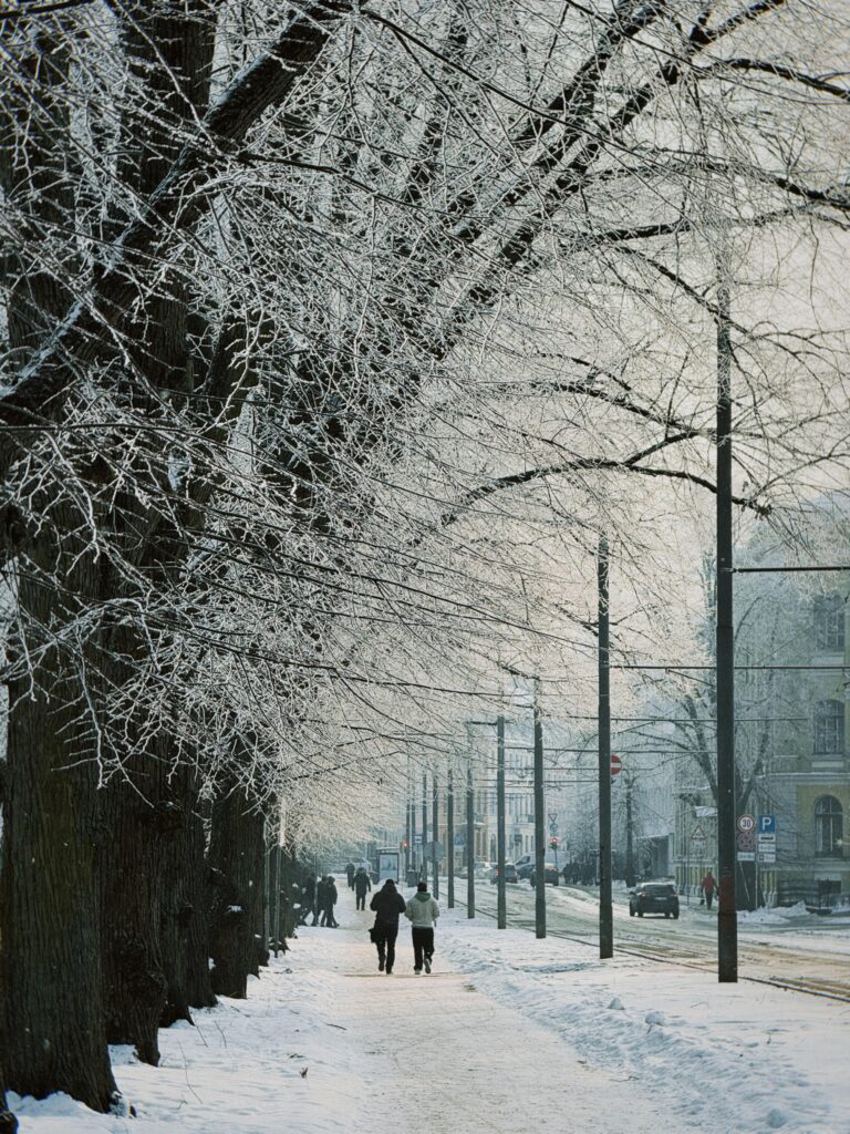 pexels-anita-paucha-260504136-35771844